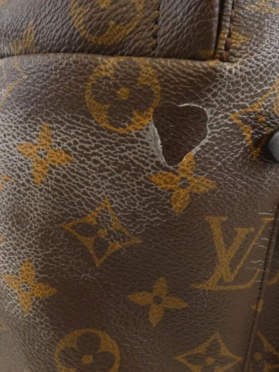 Louis Vuitton Monogram Palm Spring Su Backpack main image 8